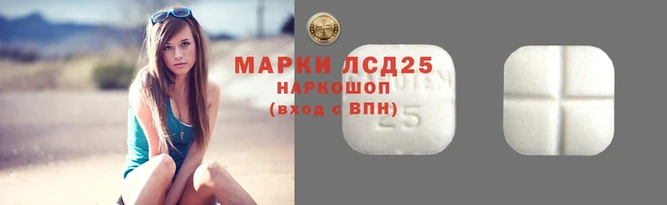 гидропоника Покровск