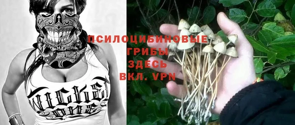 тгк Дубна