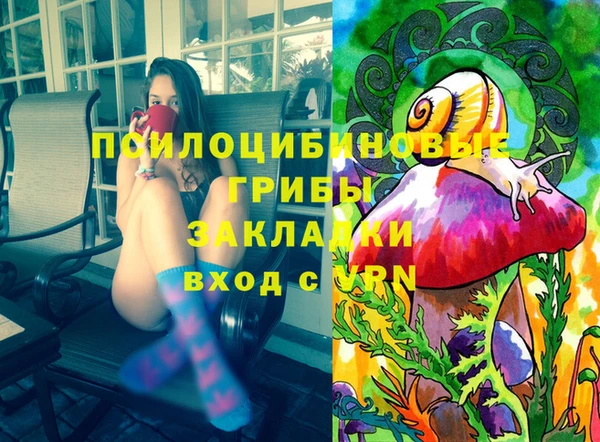 стафф Дрезна