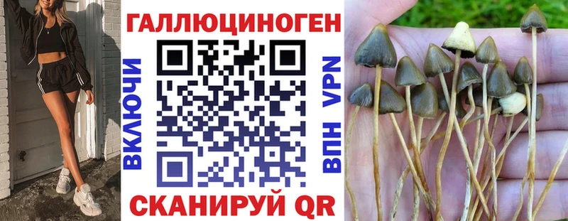 Псилоцибиновые грибы GOLDEN TEACHER  Княгинино 